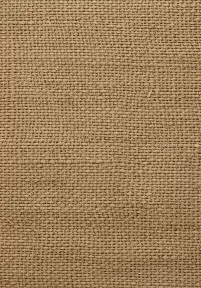 Imagen PNG para descargar